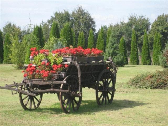 Barokk Hotel Hegyeshalom Zewnętrze zdjęcie